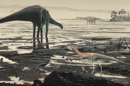 В Шотландии обнаружили отпечатки лап гигантских динозавров
