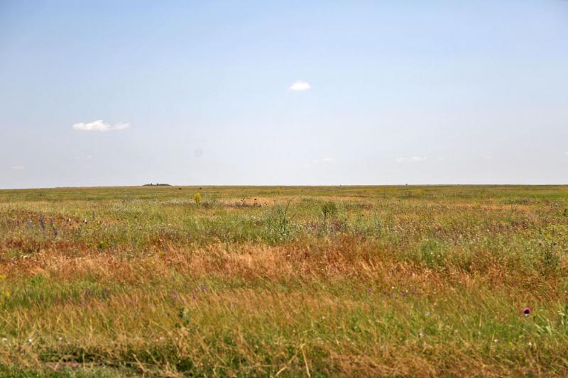 Тарутинские степи в Одесской области станут национальным заповедником
