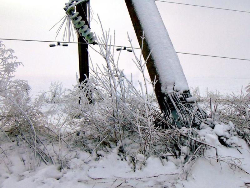 В Одесской области непогода повредила свыше тысячи электроопор