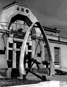 Музей китобойных флотилий «Советская Украина» и «Слава»