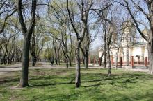 Одесса. Алексеевский сквер. Фото В. Тенякова. 04 апреля 2017 г.