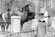 Одесский зоопарк. Начало 1980-х гг.