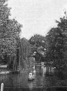 В парке на Хаджибейском лимане. Фотография в иллюстрированном путеводителе Вайнера «Одесса». 1901 г.
