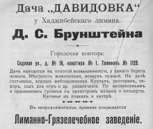 Реклама лечебницы Бруштейна, дача «Давидовка», в иллюстрированном путеводителе Вайнера «Одесса». 1901 г.