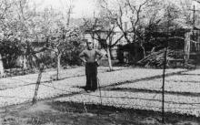 Петр Езеров у себя в огороде, грядки редиски — привычный промысел тех лет на Курсаках. 1966 г.