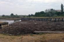 Заброшенный пруд на Куяльнике. Фото Е. Волокина. Одесса. 27 июля 2020 г.