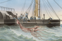 Гигантский кальмар, пойманный французским судном «Алекто». Тенерифе, 30 ноября 1861 года. Изображение: / Mary Evans Picture Library / Globallookpress.com