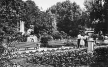 Одесса. В городском саду. Фото И. Павленко. Почтовая карточка. 1962 г.
