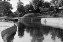 Водный бассейн Дворца пионеров, 1956 г.