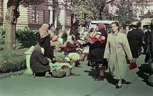 Одесса. Торговля цветами на привокзальной площади. 1957 г.