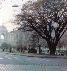 Дуб на пересечении улиц Ланжероновской и Пушкинской. Фото Роберта Папикьяна в фотоальбоме «Одесса». 1987 г.
