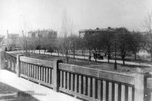 Аллея, ведущая от ворот к морю. Вид с площадки 1-го павильона. Начало 1930-х гг.