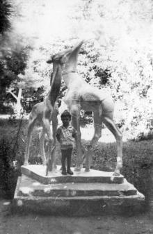 Скульптуры жирафов в Одесском зоопарке. Фото А. Дроздовского, август 1985 г.