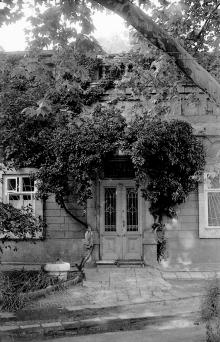 Одесса. Во дворе дома № 7 в переулке Тельмана. Фото А. Дроздовского. 1970-е гг.